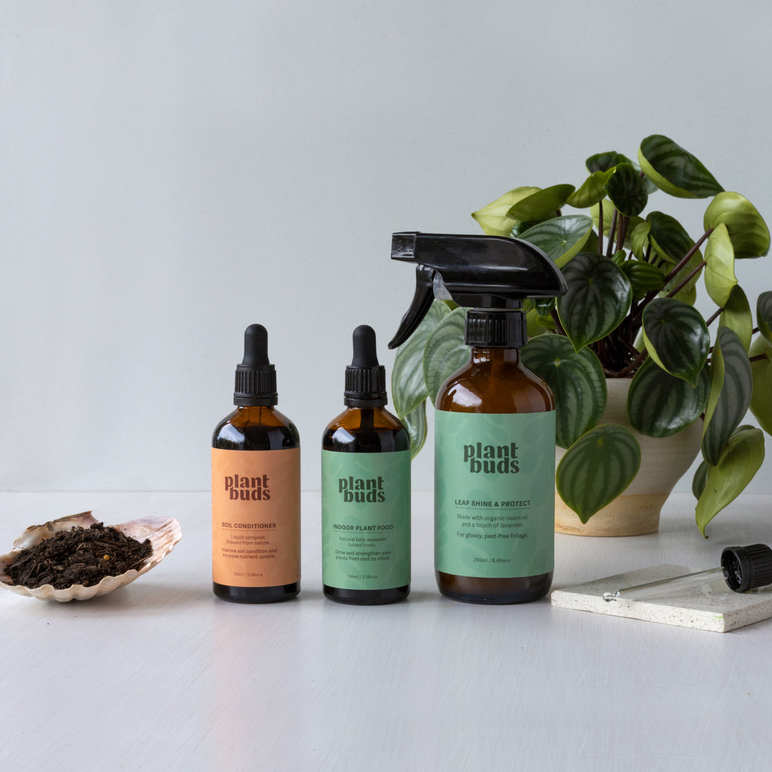 indoor plant care products Plant care trio – Plantbuds